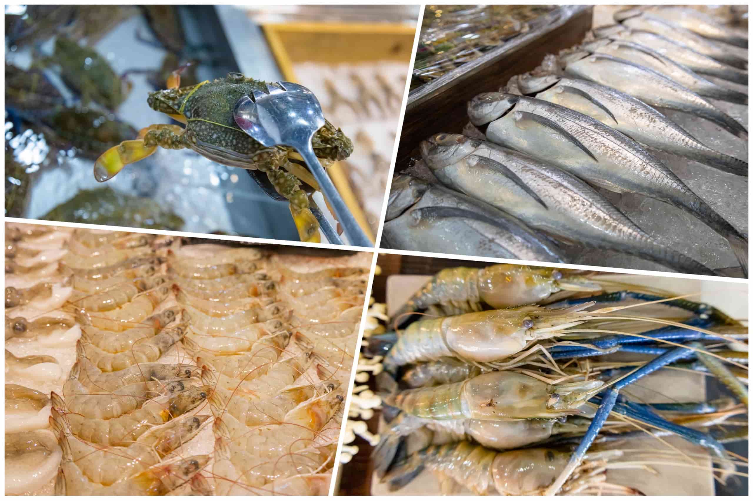 Nhiều loại hải sản hấp dẫn tại nhà hàng buffet Phú Quốc Sun Việt