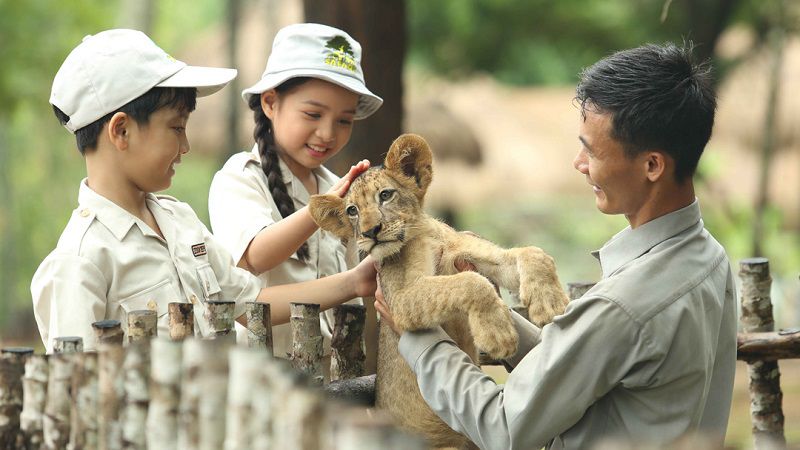 Vinpearl Safari Phú Quốc là điểm đến khám phá thiên nhiên hoang dã không thể bỏ lỡ