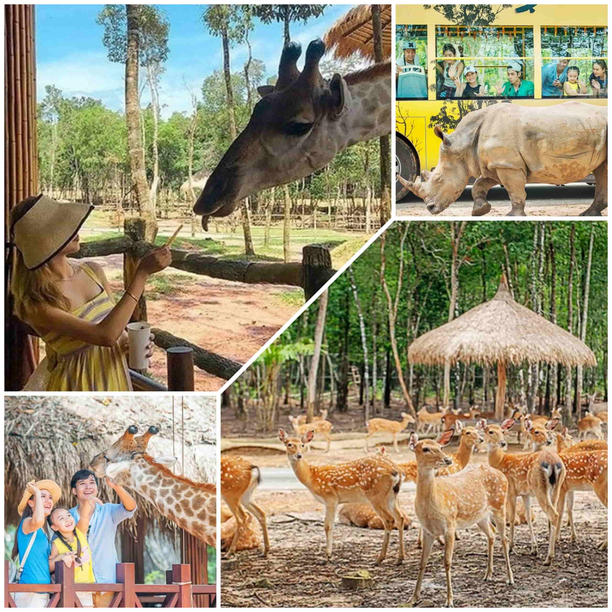 Vinpearl Safari Phú Quốc là khu bảo tồn động vật bán hoang dã đầu tiên tại nước ta